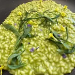 Saisera 3*